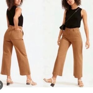 Everlane Brown Wide Leg Crop Pants